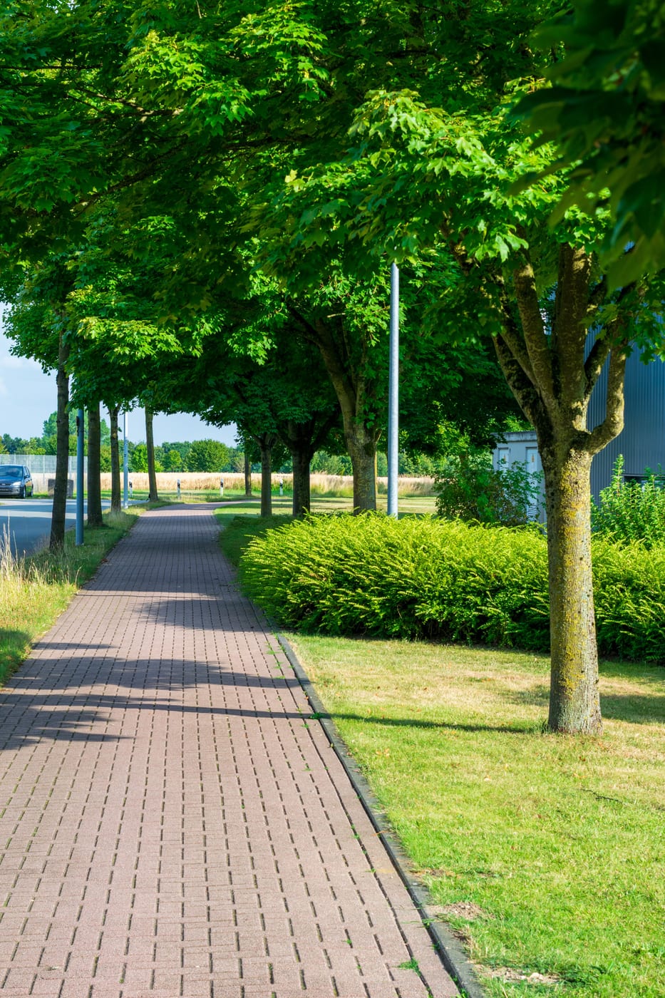 Vom Hausmeister gepflegte Außenanlage mit geschnittener Hecke, Rasen und sauberem Gehweg